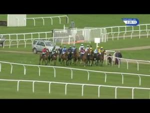Video preview image for Cheltenham 14:25 - European Breeders' Fund/Thoroughbred Breeders' Association Mares' Novices' Chase Finale (Listed Handicap)