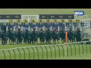 Video preview image for Newmarket 14:45 - Montaz Restaurant EBF Stallion Fillies' Maiden Stakes (Plus 10)