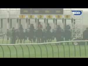 Video preview image for Newmarket 16:30 - Novae Bloodstock Insurance Craven Stakes (Group 3)