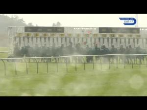 Video preview image for Newmarket 17:05 - Ben Burgess & Co Handicap