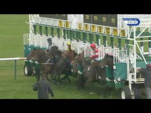 Video preview image for Newmarket 17:40 - Rossdales Handicap