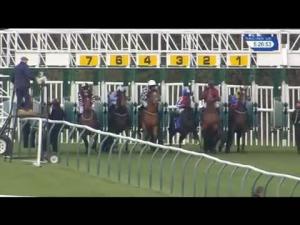 Video preview image for Nottingham 17:25 - 1st Security Novice Stakes