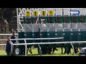 Video preview image for Nottingham 17:55 - Grosvenor Casino Nottingham Maiden Stakes