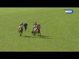 Video preview image for Wetherby 14:35 - racinguk.com Handicap Chase