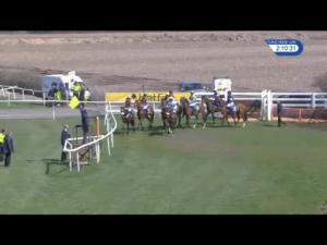 Video preview image for Ludlow 14:10 - Family Day On 8th May Novices' Hurdle