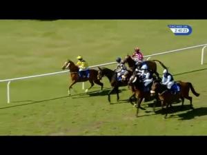 Video preview image for Ludlow 14:40 - Weatherbys Hamilton 'Confined' Handicap Chase