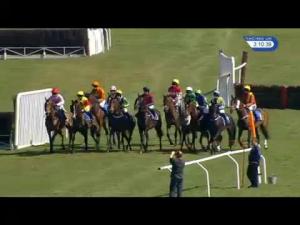 Video preview image for Ludlow 15:10 - H R Smith Group Ltd Handicap Chase