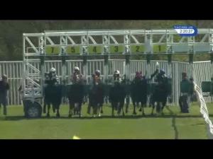 Video preview image for Catterick Bridge 14:20 - Follow On Twitter At Catterickraces Handicap