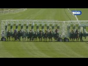 Video preview image for Catterick Bridge 14:55 - 2016 Catterick Twelve Furlong Series Handicap (Qualifier) (Div 1)