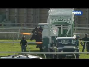 Video preview image for Catterick Bridge 16:35 - Book Now For Saturday 28th May Handicap