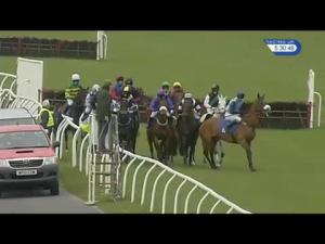 Video preview image for Exeter 17:30 - Many Happy Returns Hm The Queen Handicap Hurdle