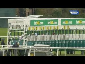 Video preview image for Sandown Park 16:35 - Nordoff Robbins Sir George Martin Memorial Maiden Fillies' Stakes (Plus 10) (Div 2)