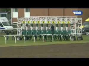 Video preview image for Thirsk 14:50 - Happy 4th Birthday Elliott Robinson Handicap