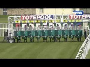 Video preview image for Musselburgh 15:30 - Totetrifecta Handicap