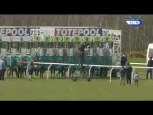 Video preview image for Musselburgh 16:30 - Toteexacta Handicap