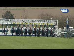 Video preview image for Ayr 14:20 - Racing UK 1 Price 3 Devices Maiden Stakes
