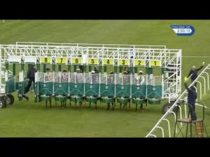 Video preview image for Pontefract 14:00 - William Hill Supports The Nrc/British Stallion Studs EBF Novice Stakes (Plus 10)