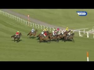 Video preview image for Cheltenham 18:25 - Champions Hunters' Chase