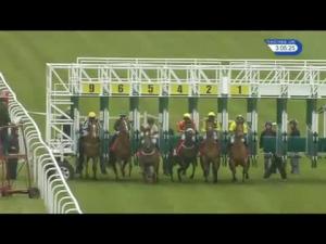 Video preview image for Redcar 15:05 - Racing UK Profits Returned To Racing Maiden Auction Stakes