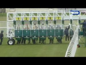 Video preview image for Musselburgh 13:55 - Turcan Connell Handicap
