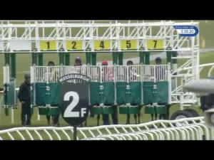 Video preview image for Musselburgh 15:35 - Hbj Claims Solutions Solicitors Handicap