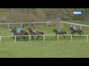 Video preview image for Bangor-On-Dee 18:15 - Sg Estates Ltd Novices' Handicap Chase