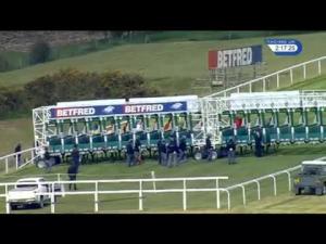 Video preview image for Goodwood 14:15 - Betfred TV EBF Stallions Daisy Warwick Stakes (Fillies' Listed)