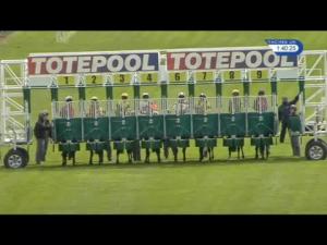 Video preview image for Hamilton Park 13:40 - Toteexacta Handicap