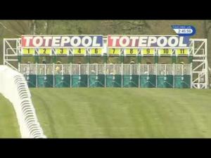 Video preview image for Hamilton Park 14:45 - totepoolliveinfo.com Buttonhook Handicap