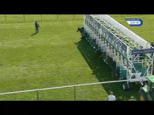 Video preview image for Newmarket 15:00 - longholes.com Rehab and Pre-Training Handicap