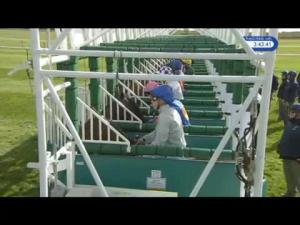 Video preview image for Newmarket 15:40 - QIPCO 1000 Guineas Stakes (Fillies' Group 1) (203rd Running) (British Champions Series)