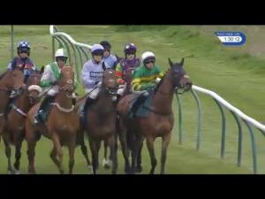 Video preview image for Warwick 13:30 - Superdream Clients Novices' Handicap Chase