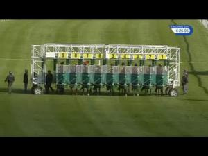 Video preview image for Catterick Bridge 18:25 - Racing UK Day Pass Just 10 Claiming Stakes