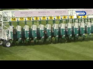 Video preview image for Chester 16:55 - Perfection Secrets Handicap