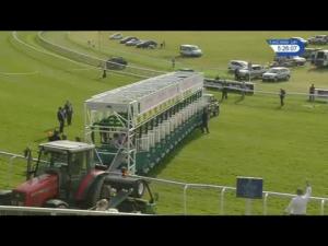 Video preview image for Chester 17:25 - T&L Leasing Handicap