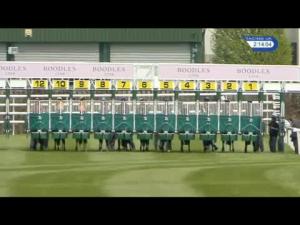 Video preview image for Chester 14:10 - Crabbie's Earl Grosvenor Handicap