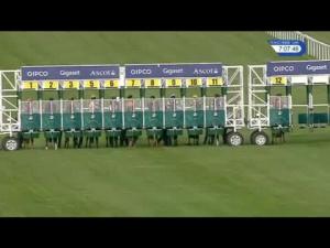 Video preview image for Ascot 19:05 - Montfort Handicap
