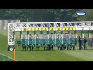 Video preview image for Nottingham 14:40 - Most Reliable Bet Dg Taxis Handicap
