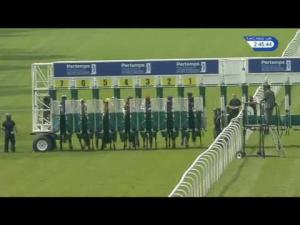 Video preview image for Haydock Park 14:45 - Pertemps Network Spring Trophy Stakes (Listed)