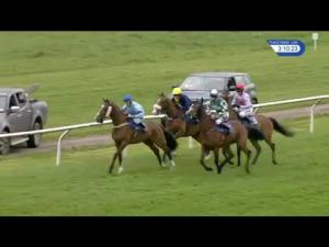 Video preview image for Wincanton 15:10 - Montague Inn Handicap Chase