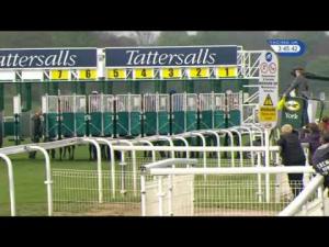 Video preview image for York 15:45 - Tattersalls Musidora Stakes (Fillies' Group 3)