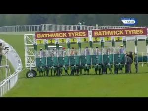 Video preview image for Salisbury 13:55 - Glebe Farm Stud Novice Stakes