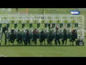 Video preview image for York 16:15 - British Stallion Studs EBF Westow Stakes (Listed)