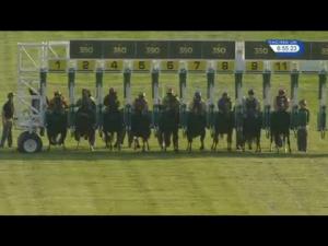 Video preview image for Newmarket 18:45 - Josef Seibel Euopean Comfort Shoe Handicap