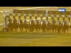 Video preview image for Newmarket 19:55 - newmarketracecourses.co.uk Fillies' Handicap (Jockey Club Grassroots Flat Middle Distance Series Qualifier)