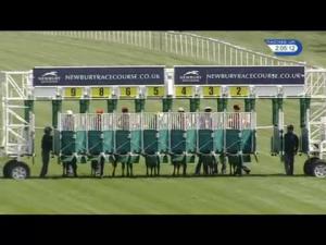 Video preview image for Newbury 14:00 - Welcome To The Starlight Raceday Maiden Stakes (Plus 10) (Div 2)