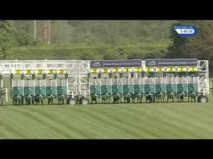 Video preview image for Newbury 15:45 - Coolmore Stud Maiden Stakes (Plus 10) (Str)