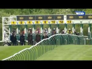 Video preview image for Newmarket 15:55 - Edmondson Hall Solicitors & Sports Lawyers Handicap