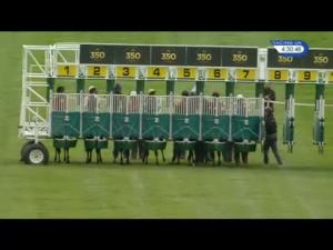 Video preview image for Newmarket 16:25 - newmarketracecourses.co.uk Maiden Fillies' Stakes (Plus 10)