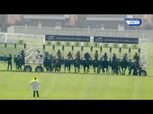 Video preview image for Newbury 16:50 - John Sunley Memorial Handicap